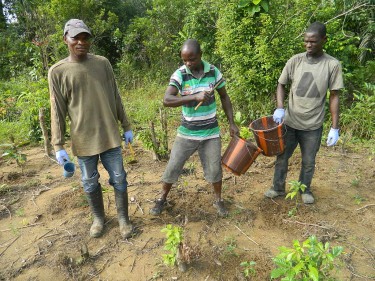 Foto projects Liberia 2015.0093 (1)