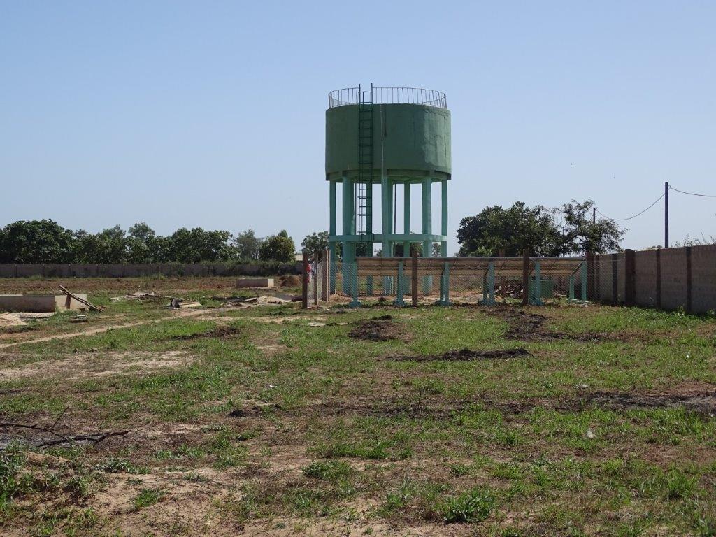 Gambia nov 2015 (524)