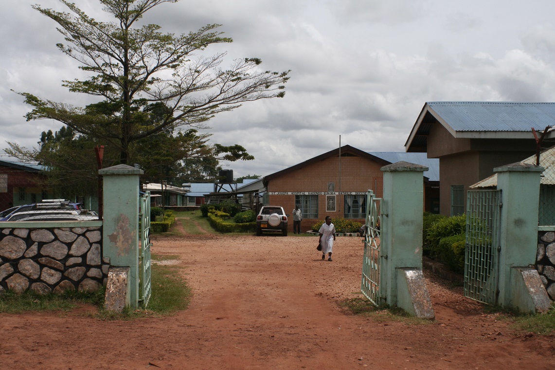 Project Tanzania ziekenhuis p20160724