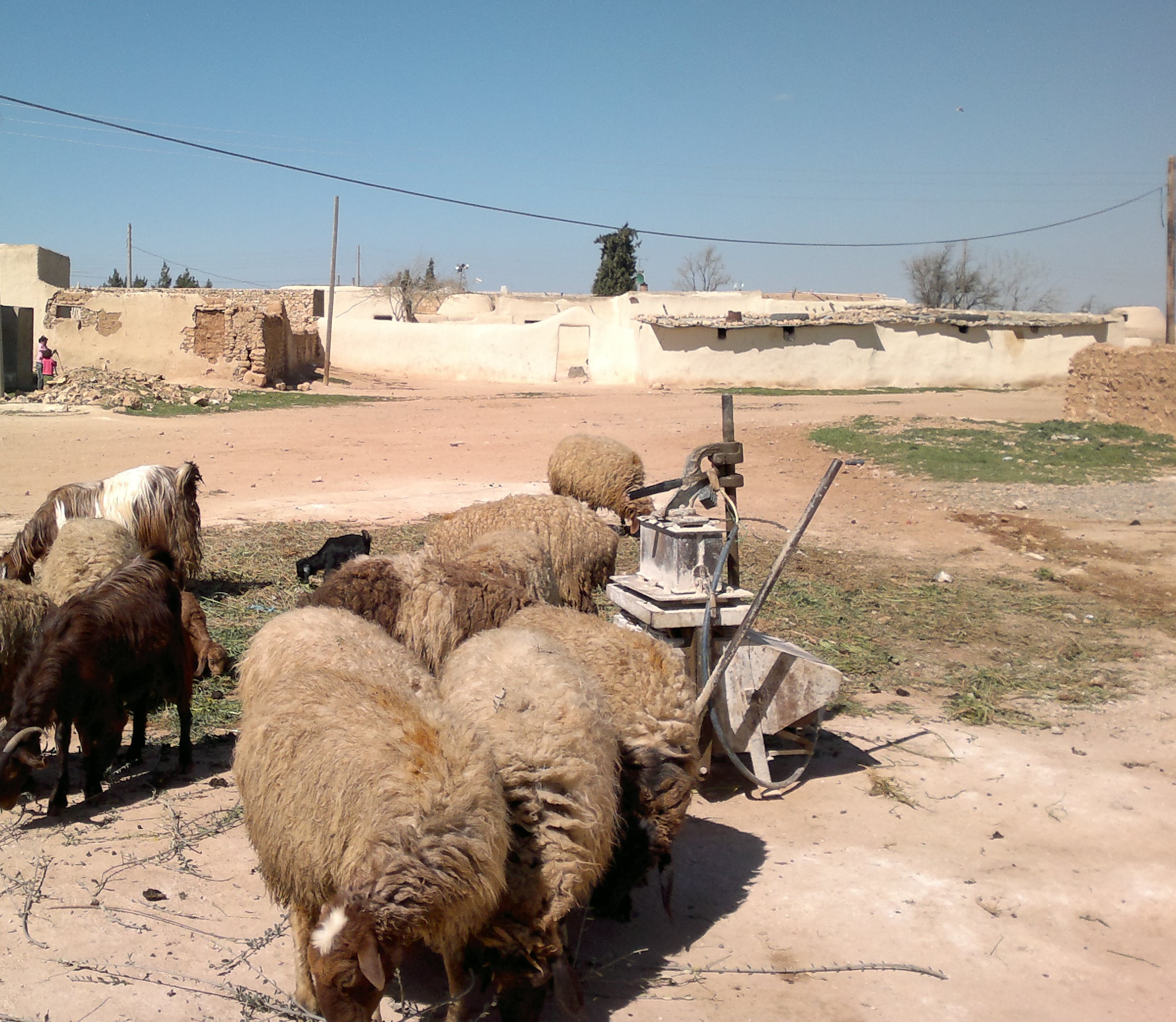 foto-project-syrie-16817-2