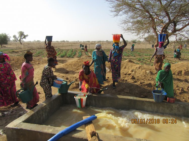 Irrigatie groentetuin Burkina Faso