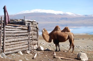 Het meer van Dayan, Mongolië.