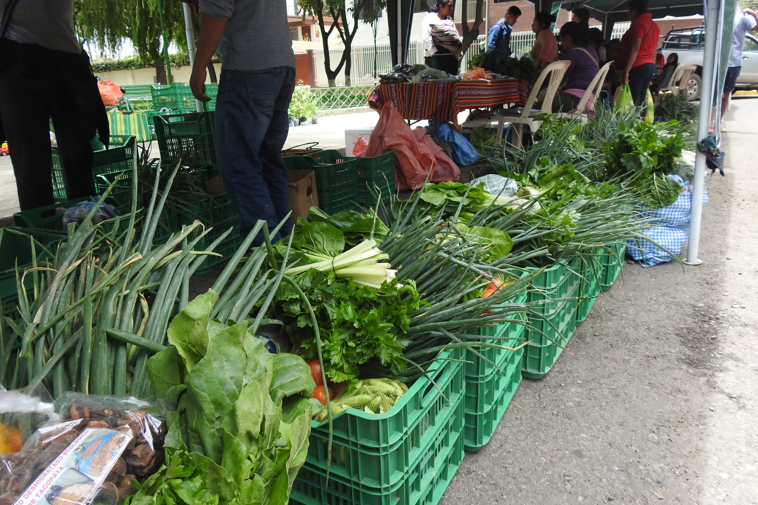 Duurzaam gekweekte groenten op de markt in Bolivia.