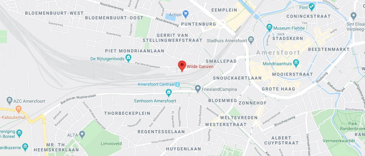 Kom in contact! Het adres van Wilde Ganzen op Google Maps.
