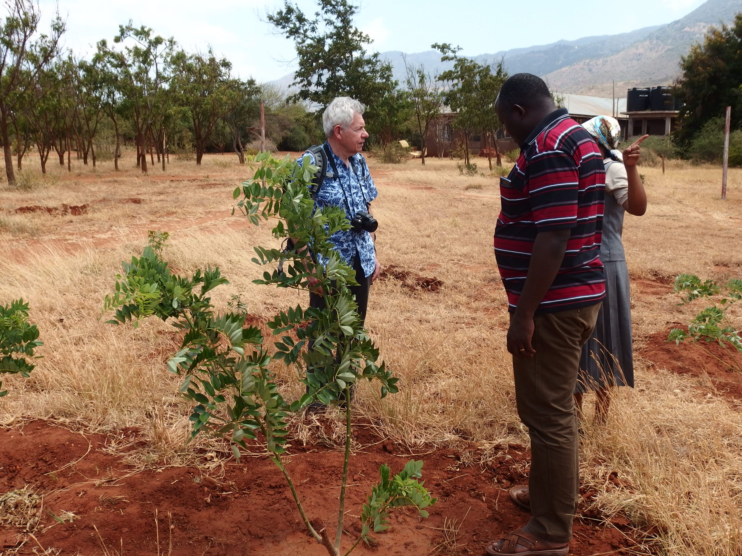 Hans van Luijk bekijkt een duurzame schooltuin in Tanzania.