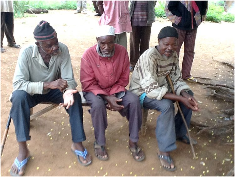 Drie traditionele bone setters