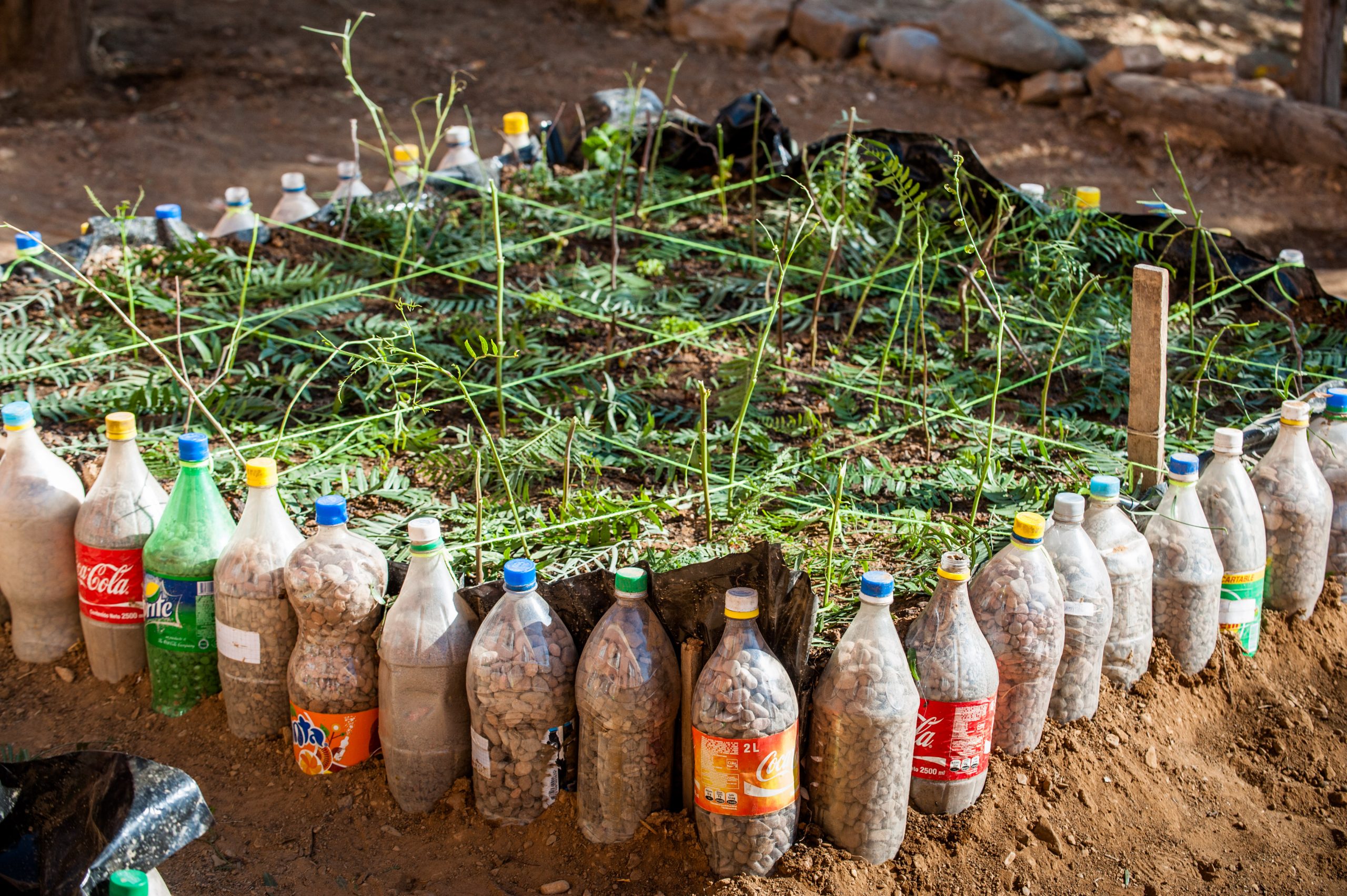 Een moestuintje gemaakt van flessen in Bolivia
