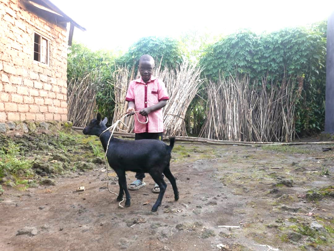 Goat given to family from another family given gaot in 2023