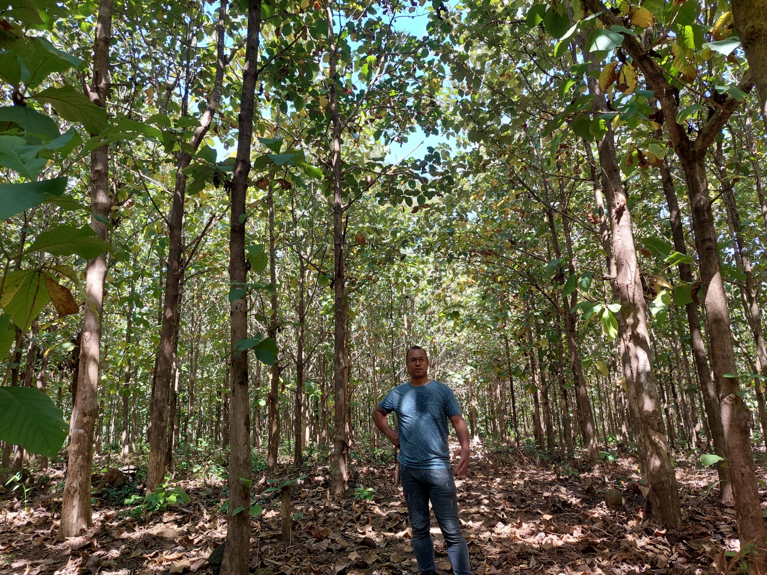 Eamonn Hanson bij aangeplant bos in Sierra Leone