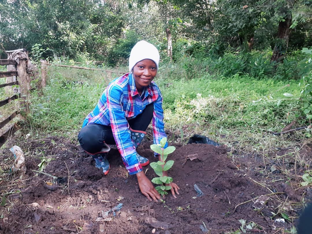 Jongeren planten bomen in Sierra Leone