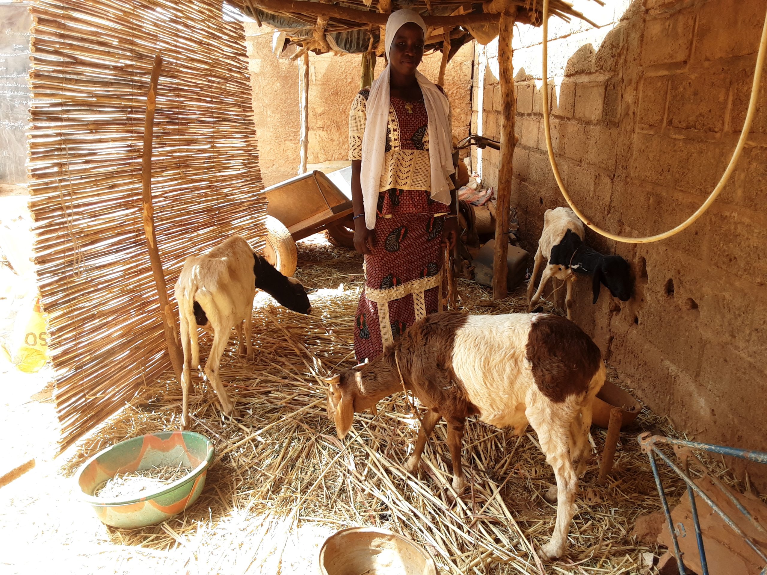 Een vrouw in Burkina Faso staat bij haar schapen