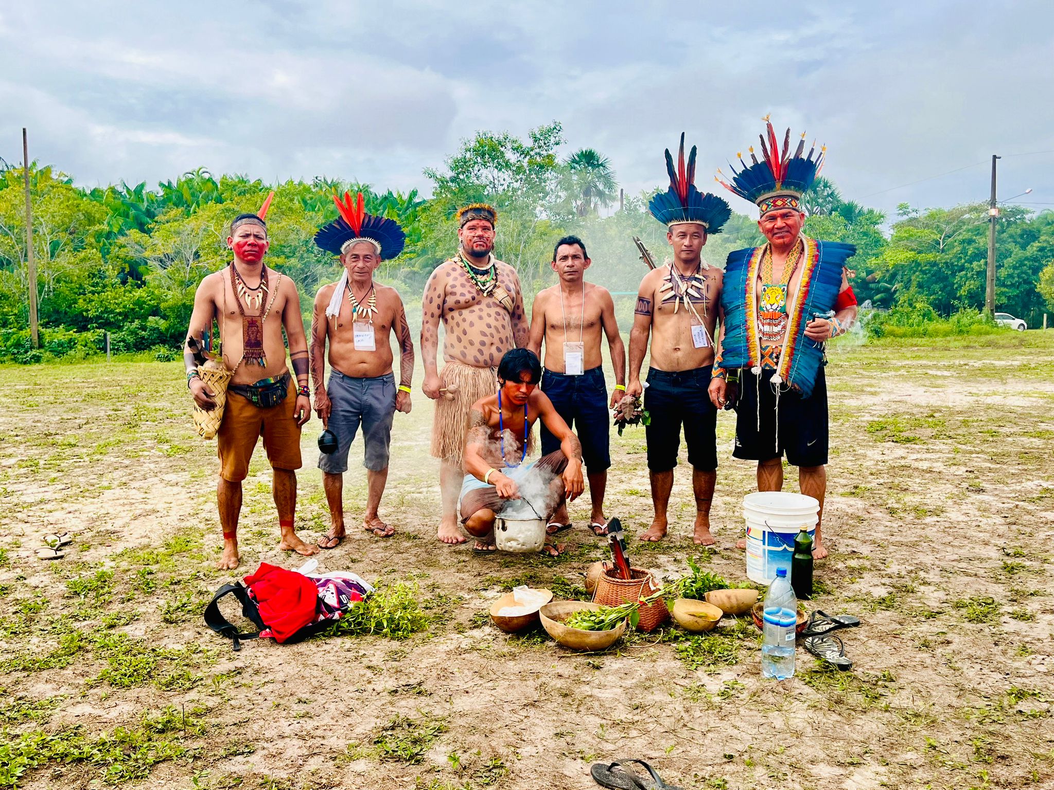 Vivi Borari van Treesistance